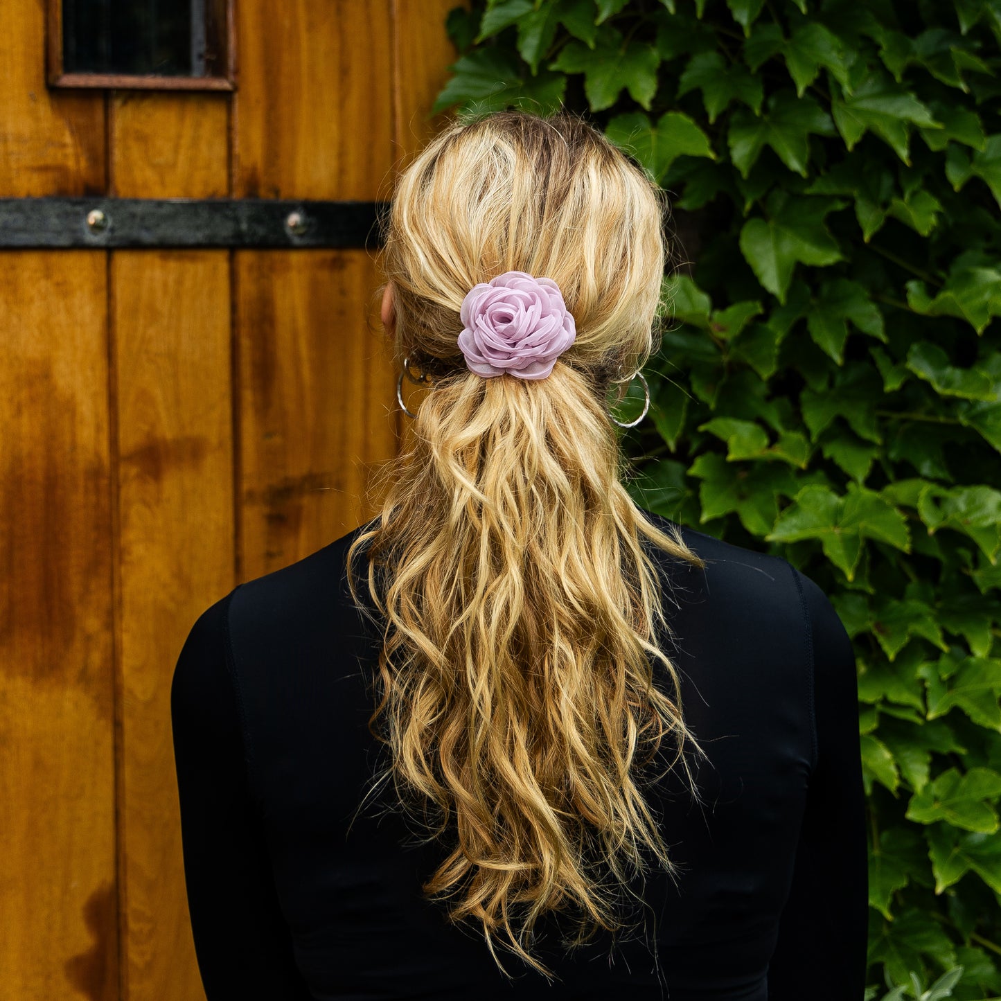 Elastische alte rosa Rose
